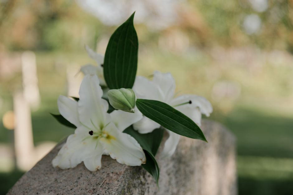 A close-up of a delicate floral arrangement featuring white lilies with open petals and prominent stamens, accompanied by glossy dark green leaves and a small unopened lily bud. The flowers are restin